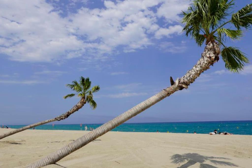 A 500 M De La Plage, Tout Confort Avec Wifi Le Barcarès エクステリア 写真